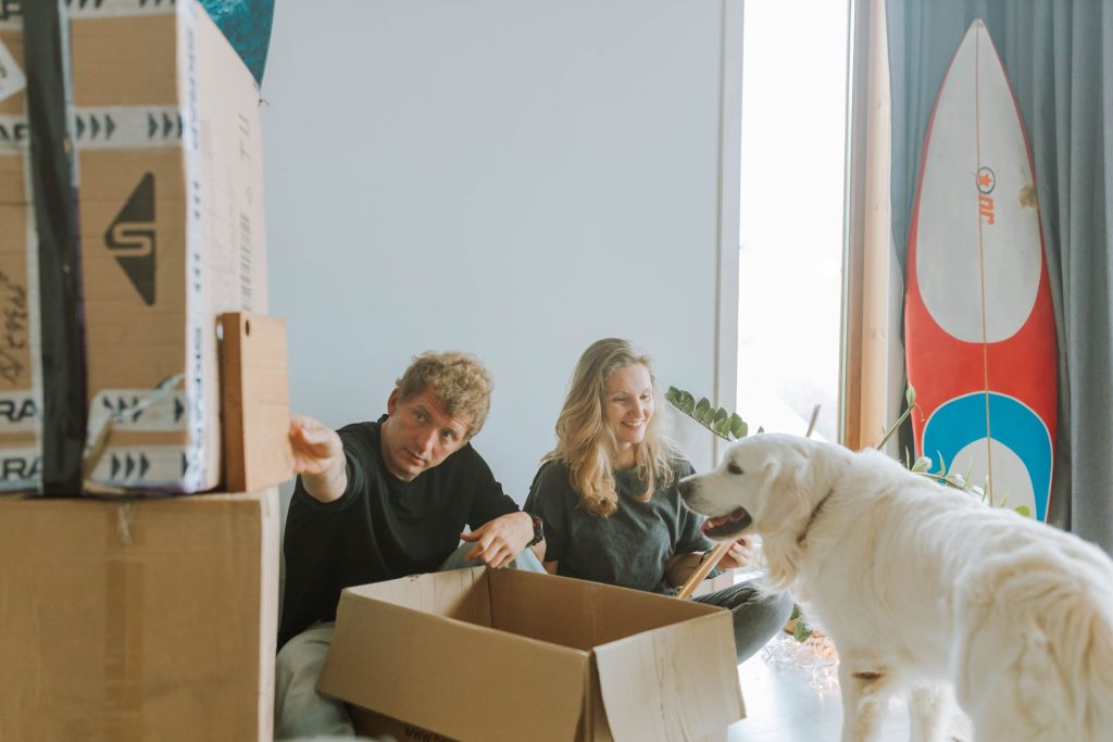 Pets for a Long Distance Move